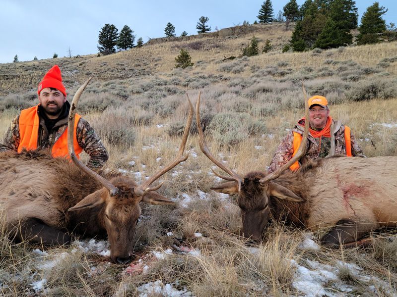Lone Wolf Guide Service Hunt
