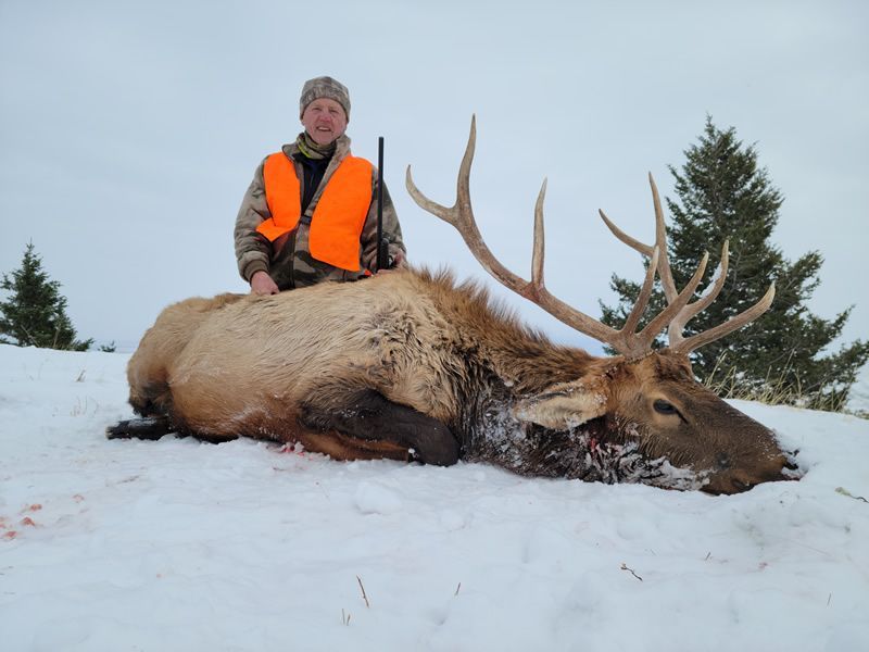 Rifle Elk Hunting