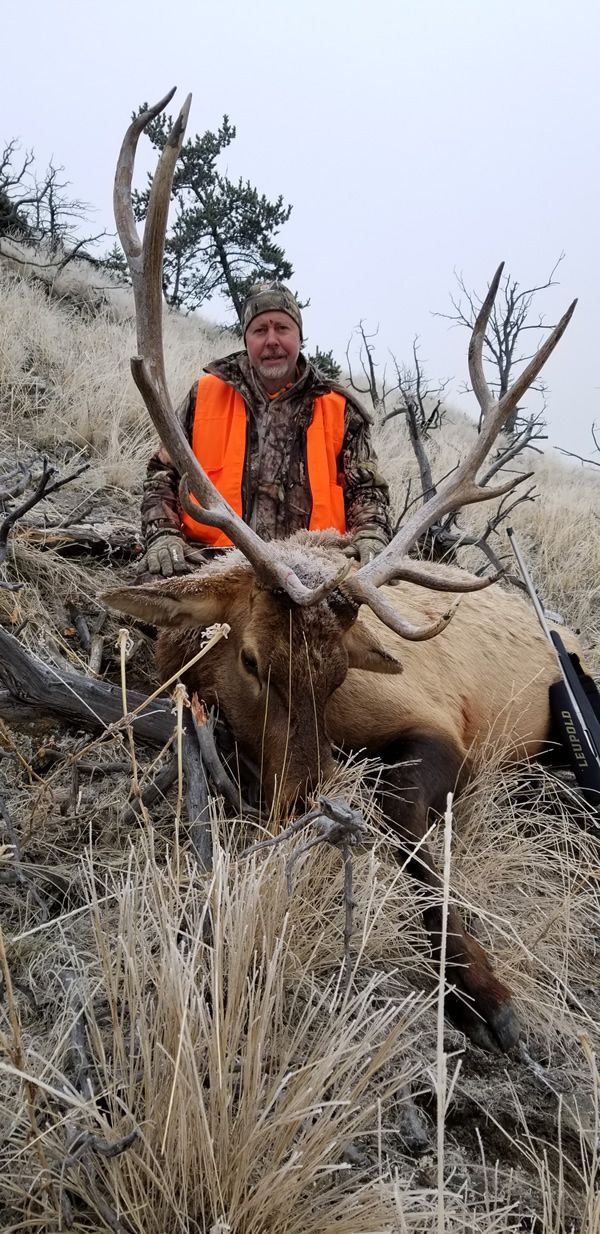 Rifle Elk Hunting