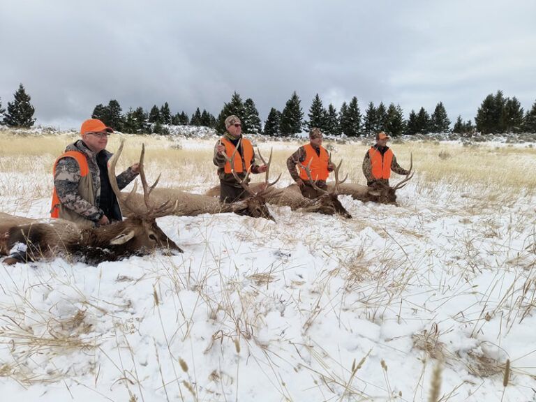 Rifle Elk Hunting