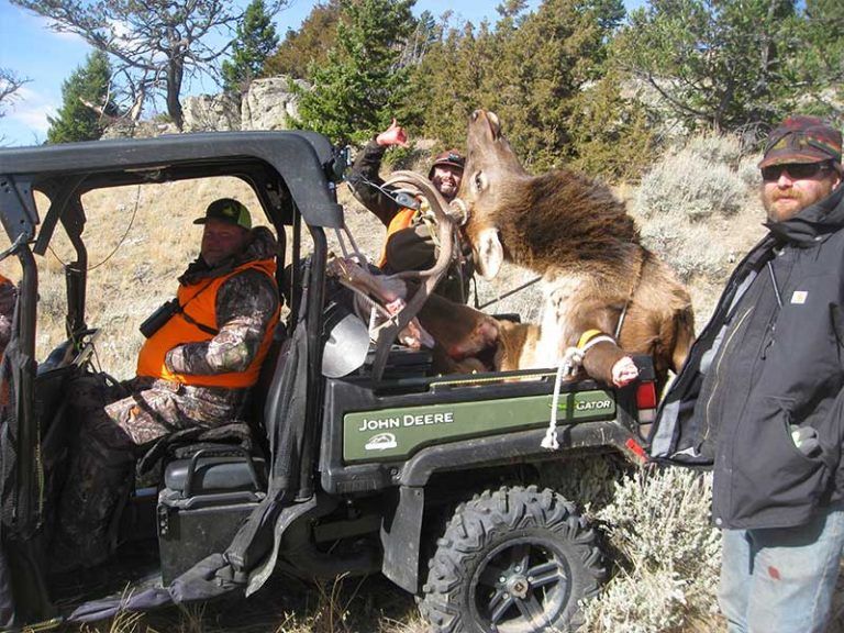 Lone Wolf Guide Service Hunt