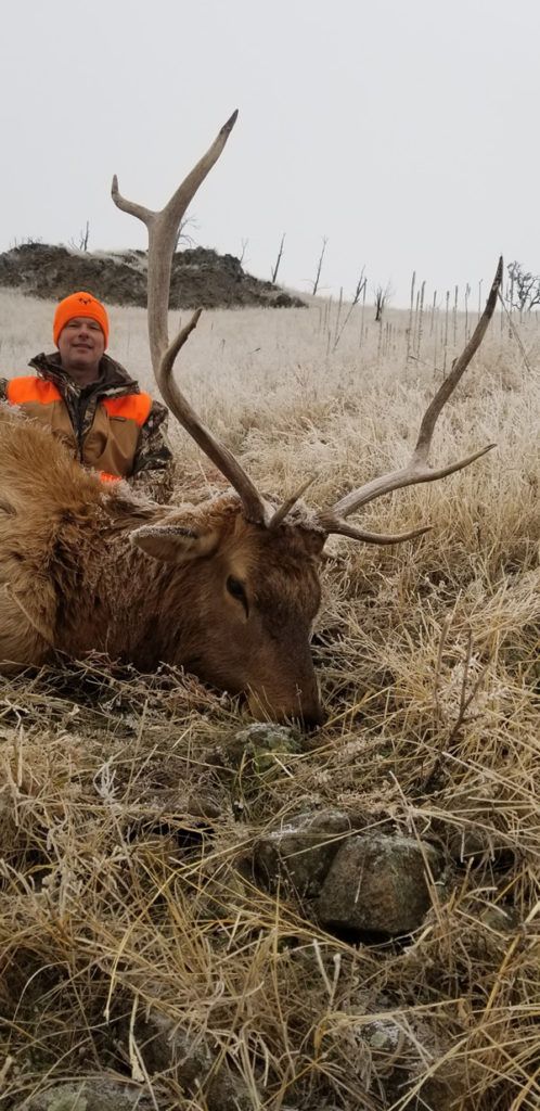 Rifle Elk Hunting