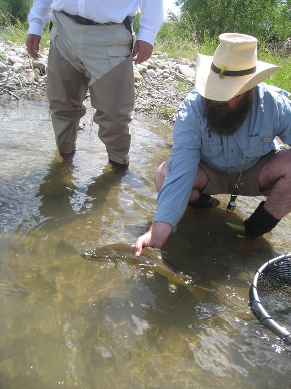 Lone Wolf Guide Service Fishing