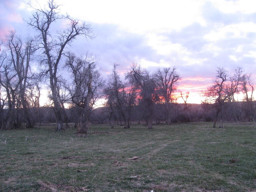 Lone Wolf Guide Service Hunting