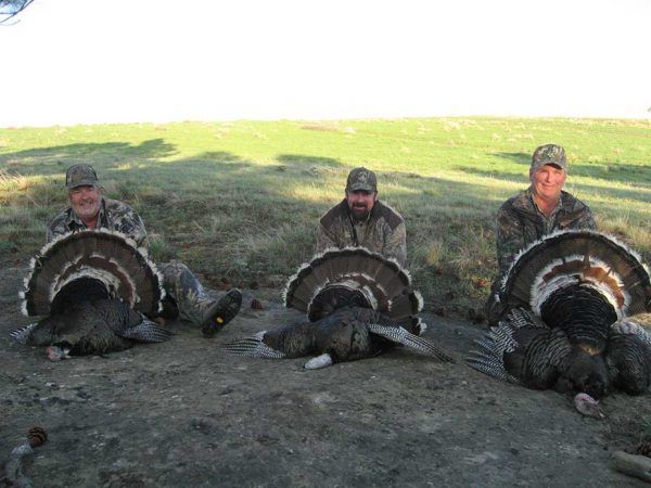 Lone Wolf Guide Service Hunting