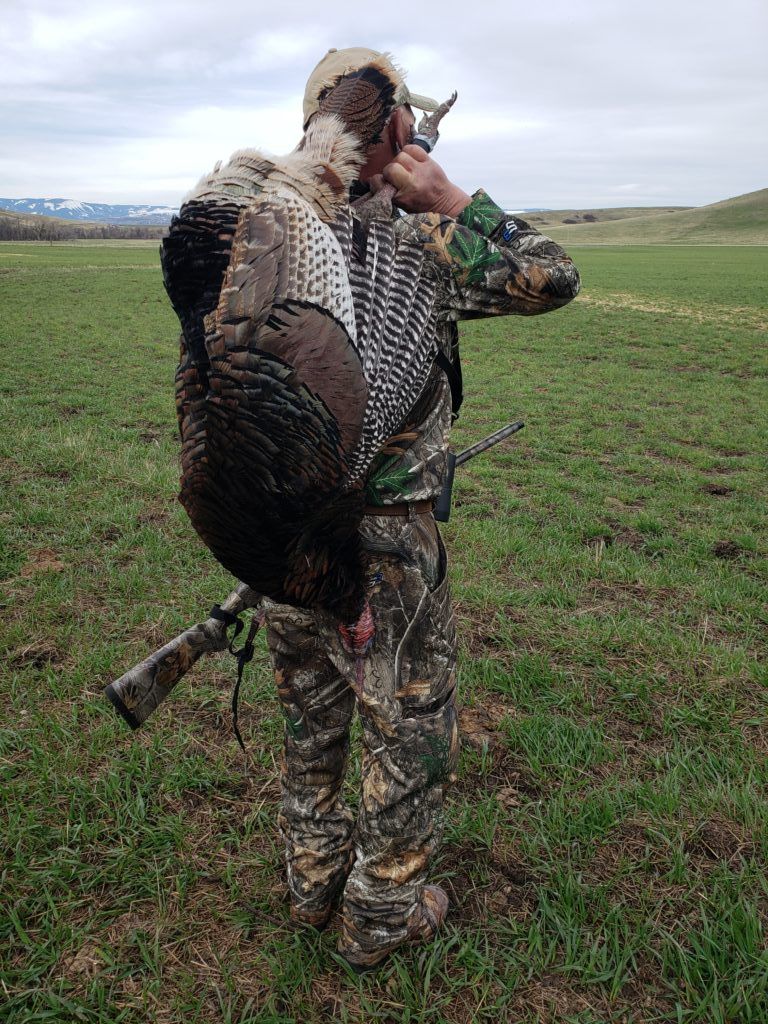 Lone Wolf Guide Service Hunting