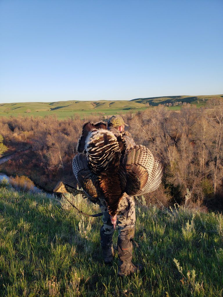Lone Wolf Guide Service Hunting