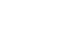 camion