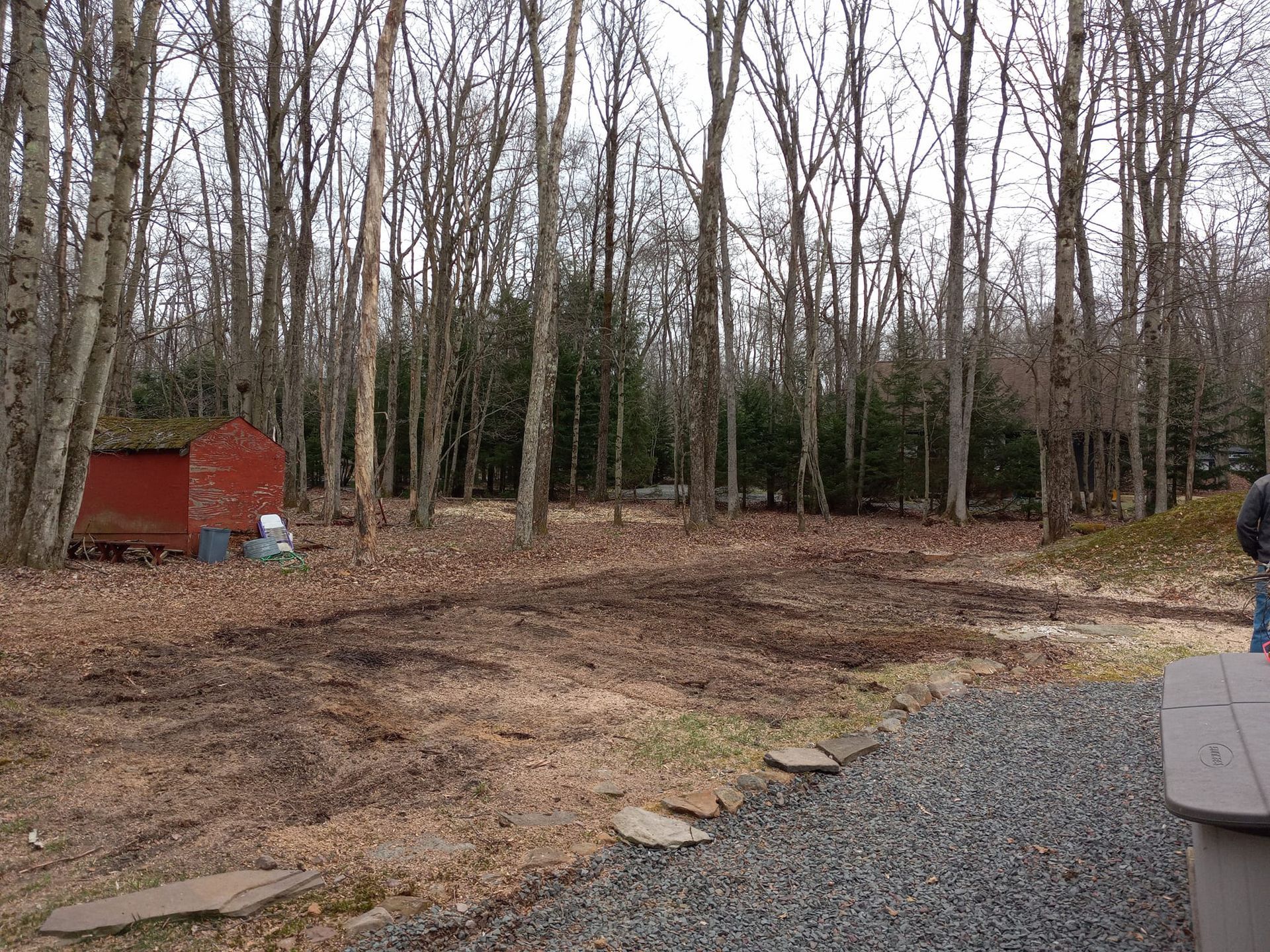 A man is standing in a dirt field in the middle of a forest.