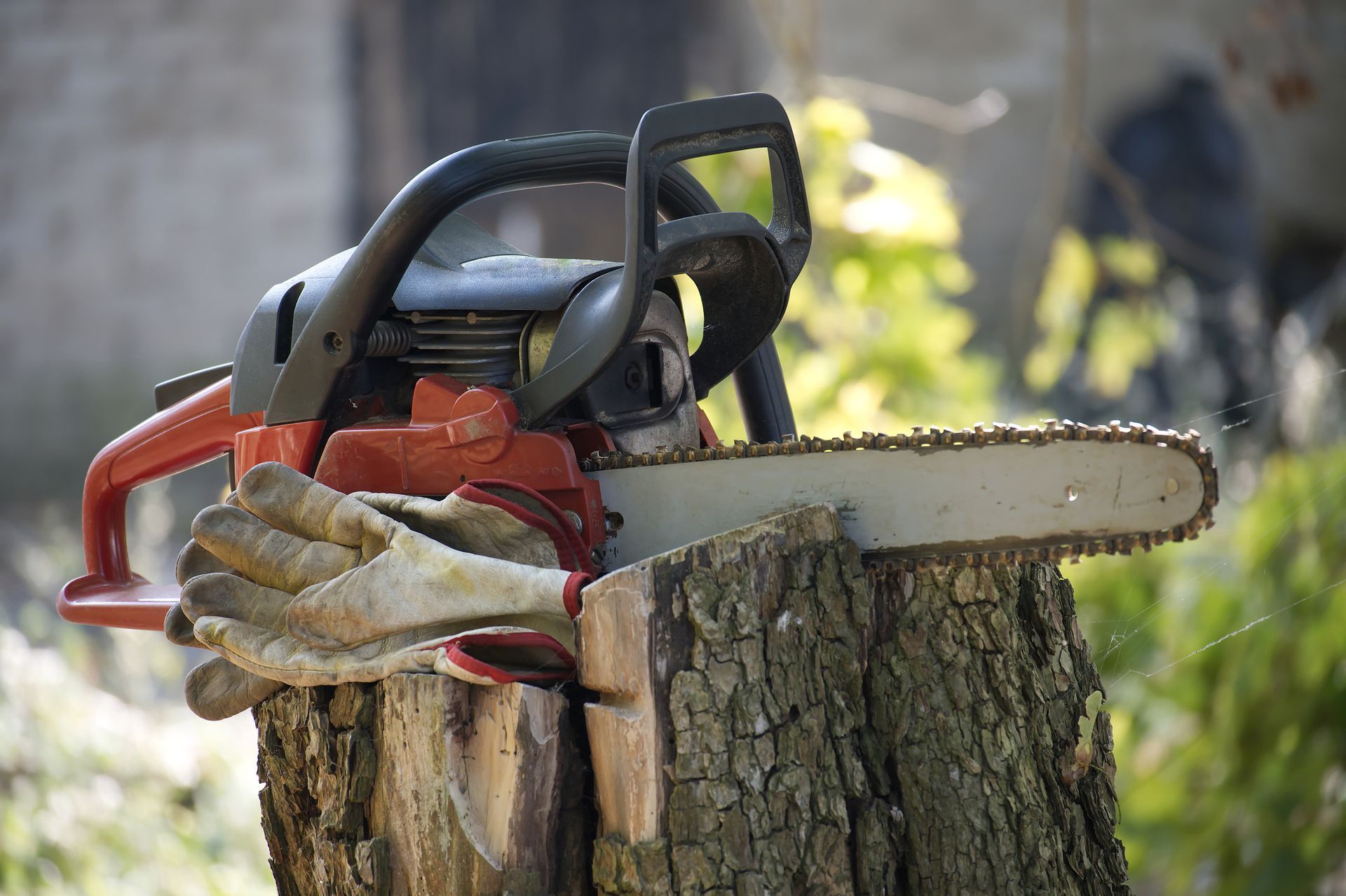 A chainsaw is sitting on top of a tree stump.