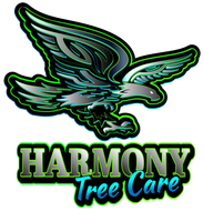 Harmony Tree Care Harmony Tree Care