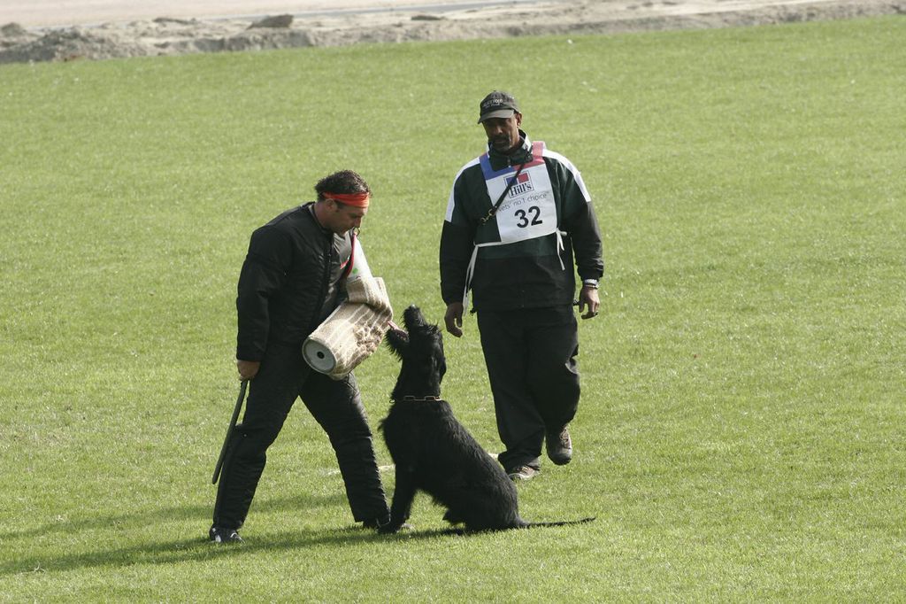 Leading Edge Dogs Williamson, GA Leading Edge Kennels