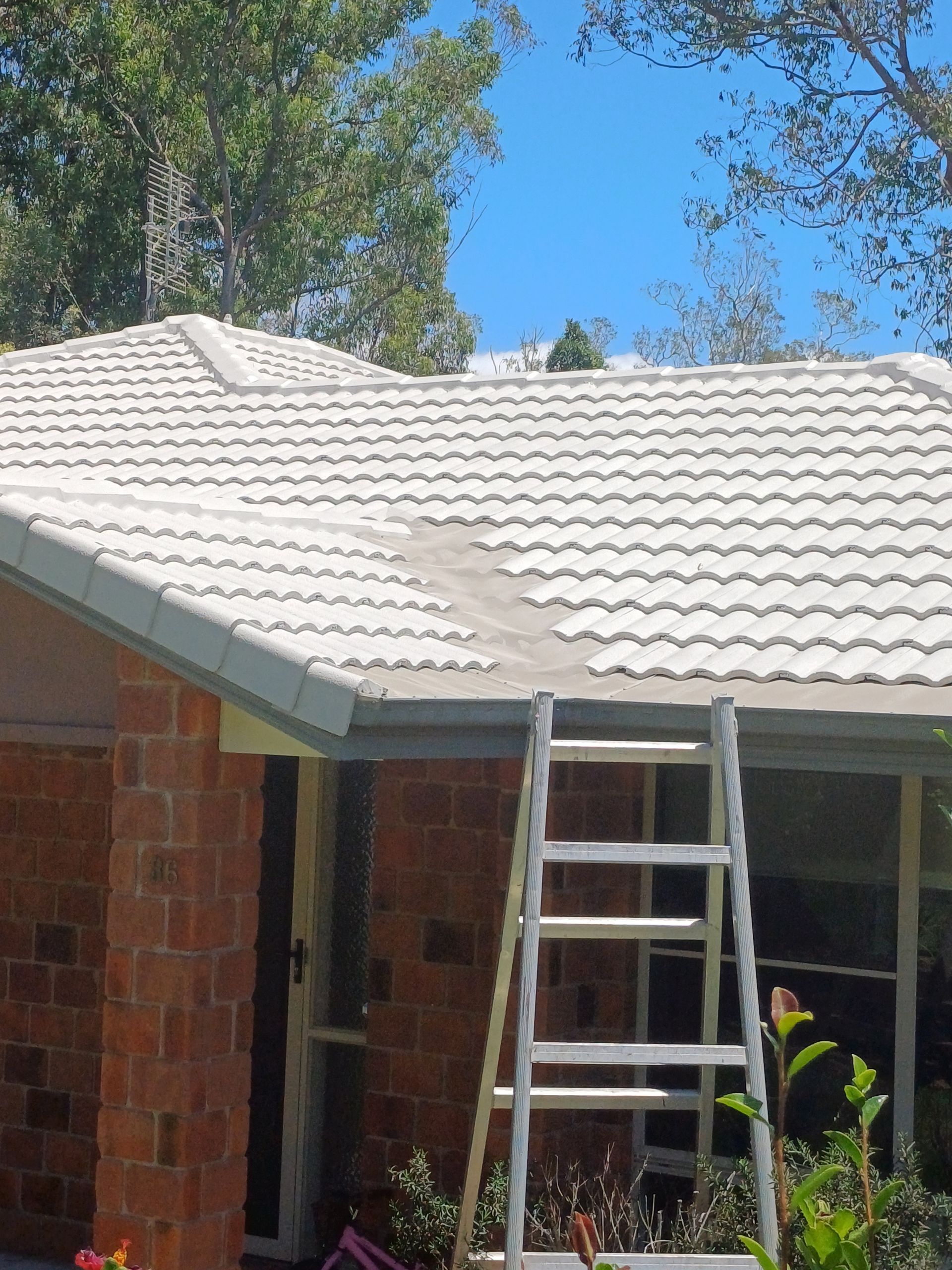 A Cream Tiled Roof With A Ladder — Rooftech Roofing Services in Bangalow, NSW