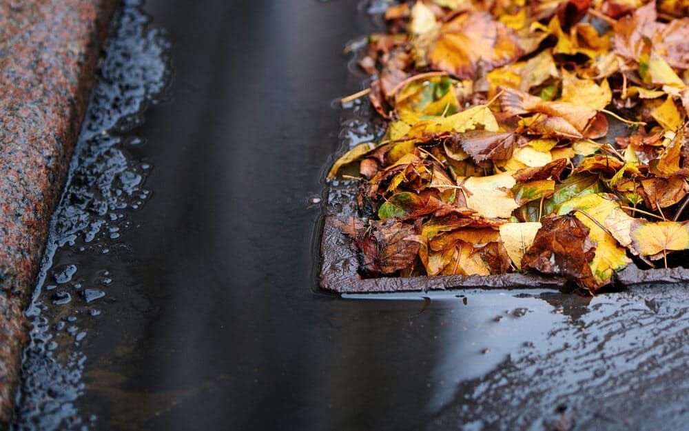 A Pile of Leaves Is Sitting on Top of A Black Surface — Rooftech Roofing Services in Ocean Shores, NSW