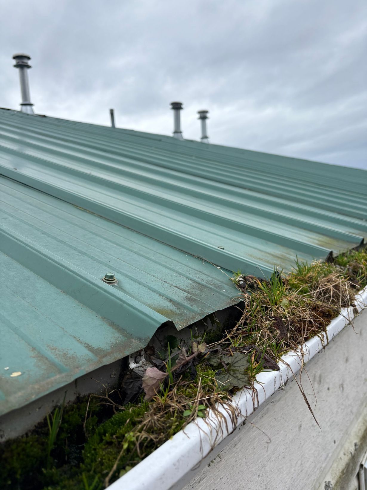 Green metal roof with overflowing gutter of debris; chimneys visible in the background.