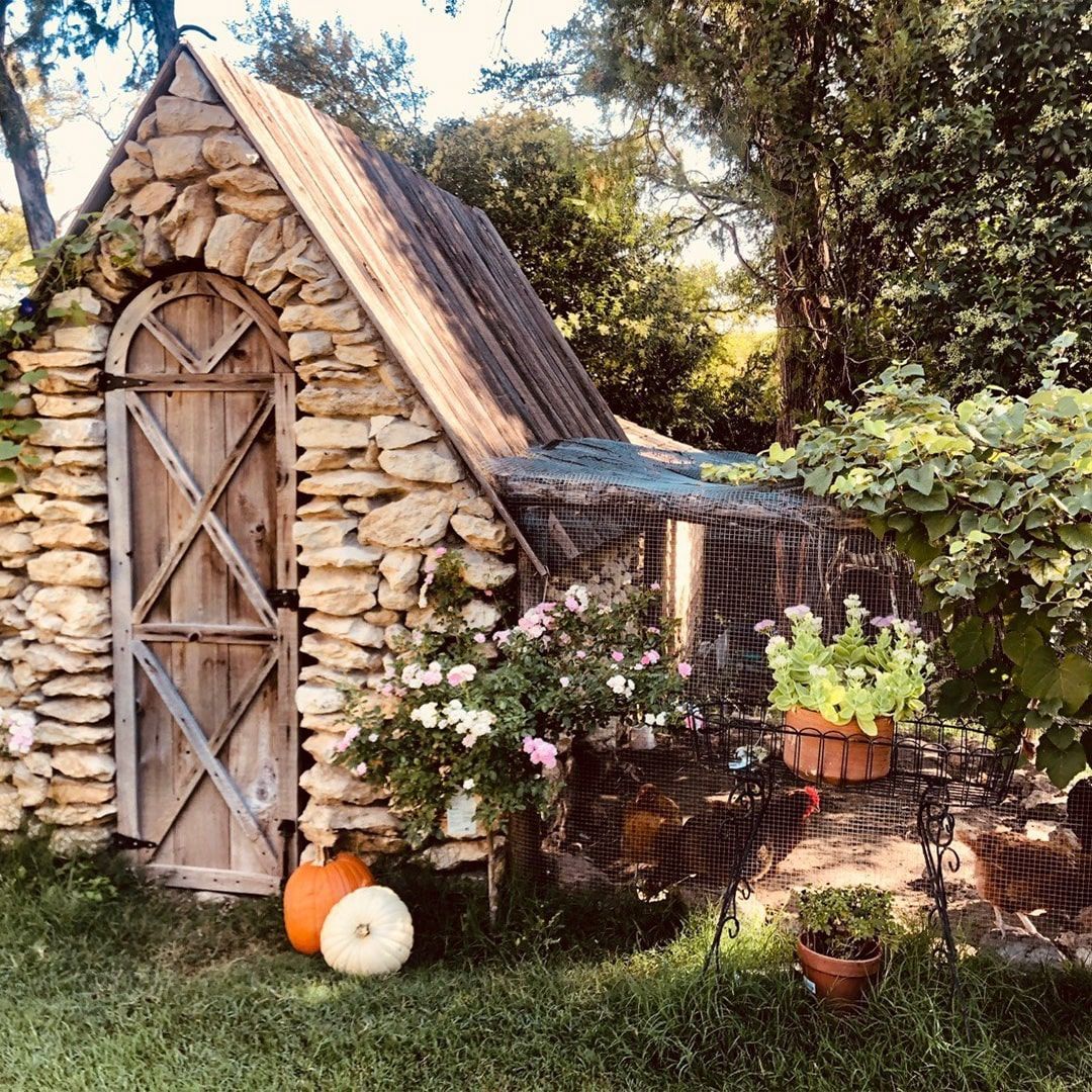 Stone shed with a wooden door, pumpkins, flowers, and plants outdoors.