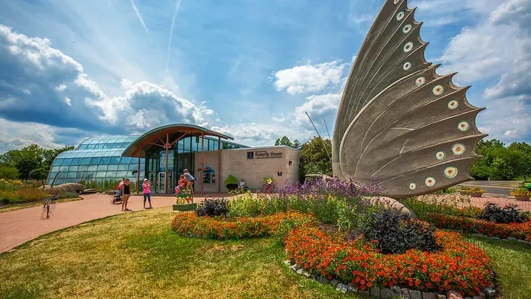 The Chesterfield Butterfly House butterfly sculpture and colorful flower beds.