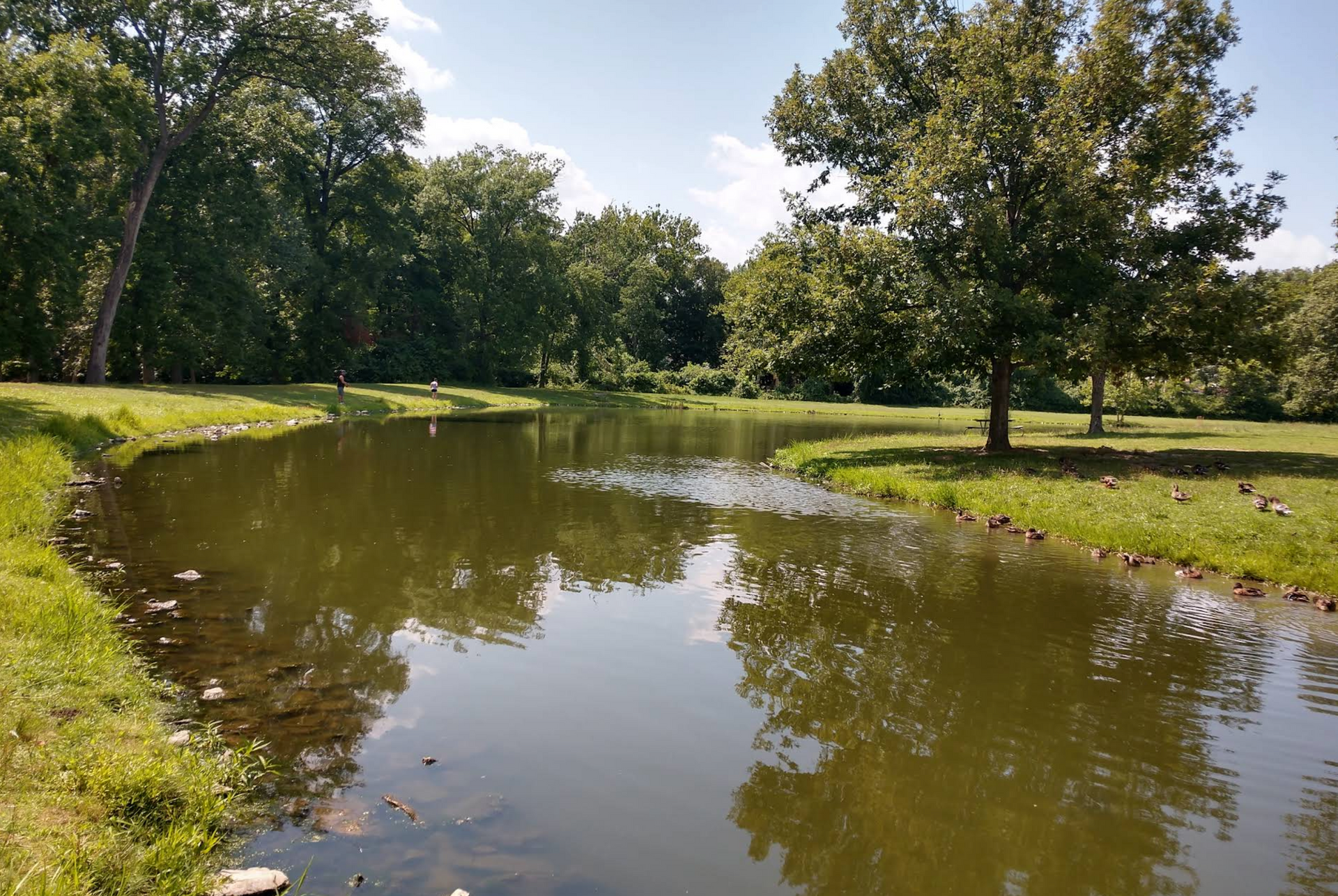A pond curves through a grassy park, surrounded by trees under a bright sky.