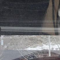 Snowy roadside seen through a window with power lines and a reflection in the glass