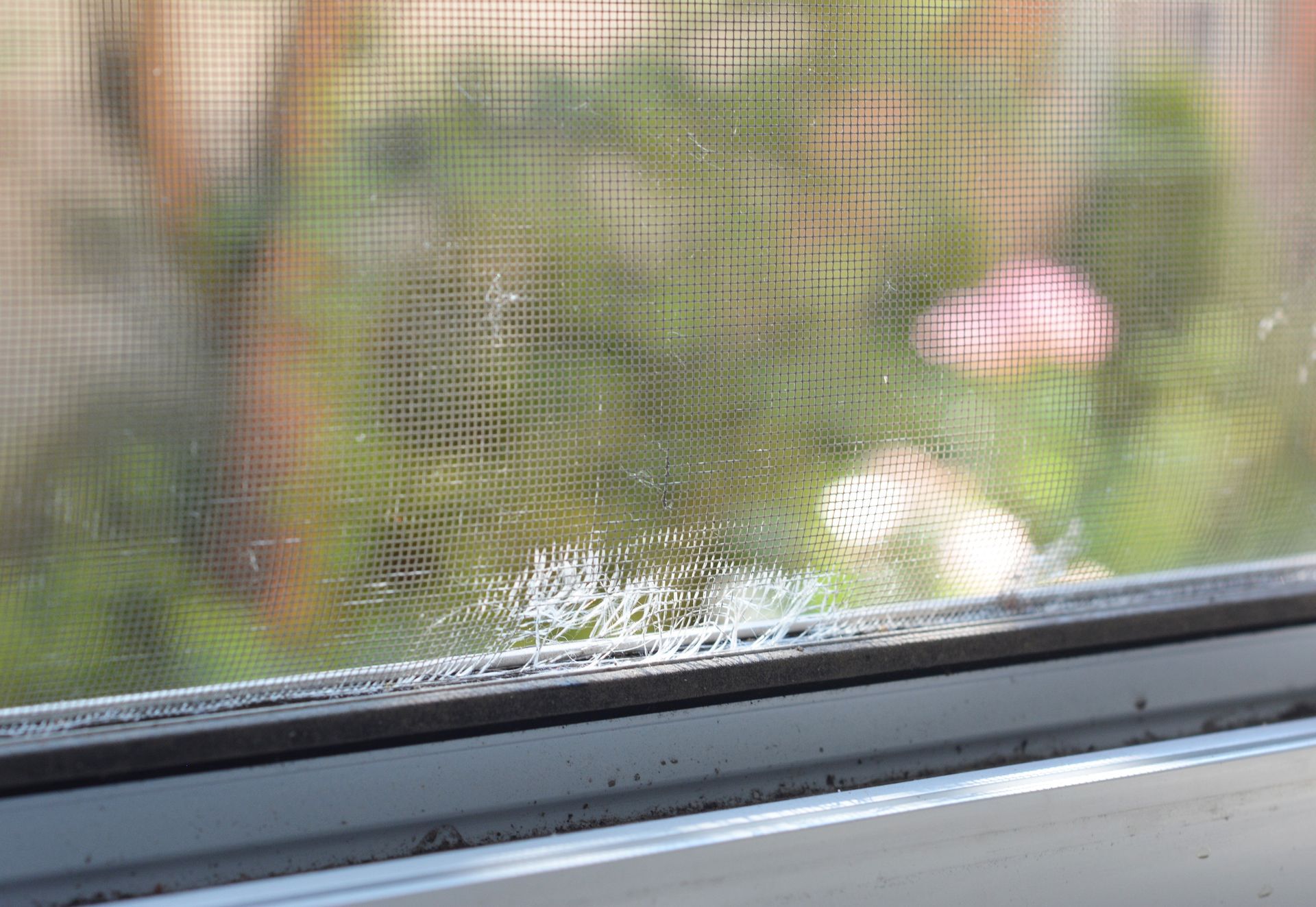 Close-up of a window screen and sill with a small patch of frost or mold on the frame