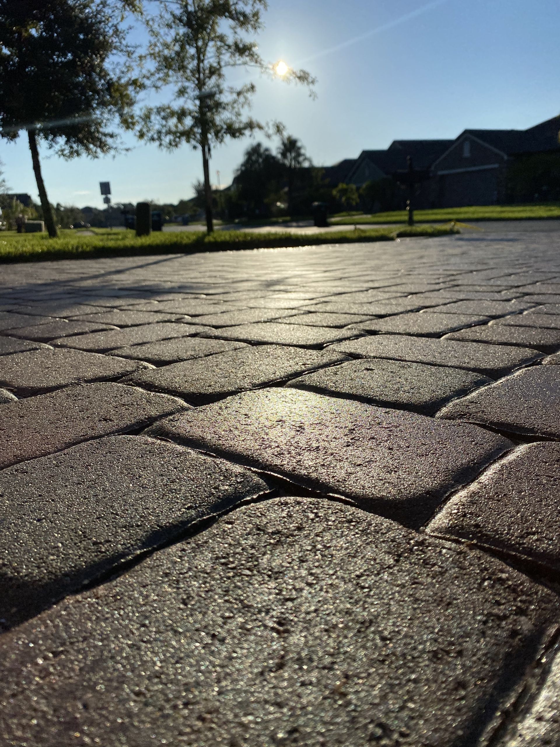 Sunlit cobblestone path with trees and buildings in the background