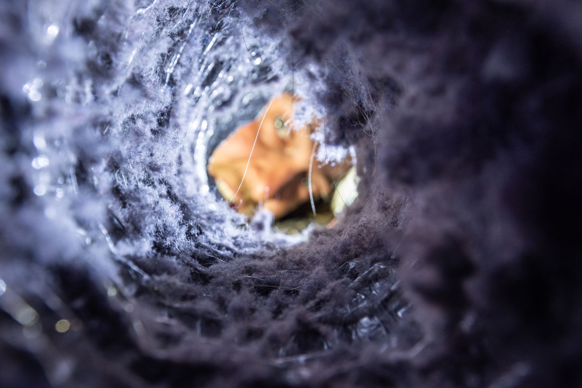 View through a dark tunnel framing a blurred orange leaf and branches outside
