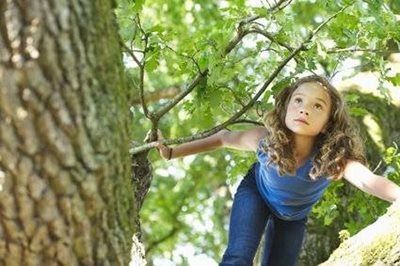 Child climbing a tree, holding a branch, with a blue shirt in a leafy outdoor setting