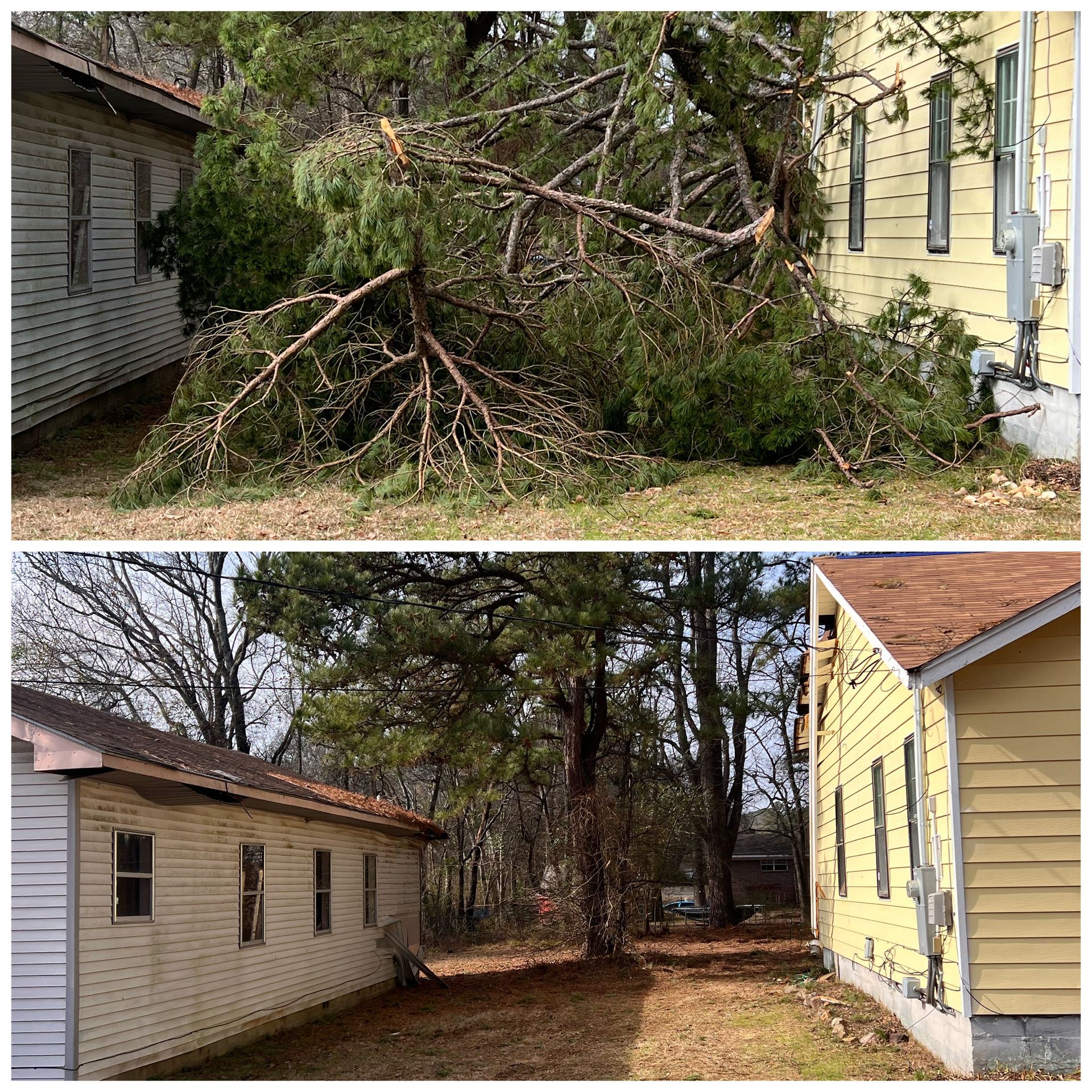 A before and after picture of a house with a tree fallen on it.