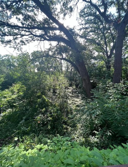 A before and after picture of a field with trees in the background.