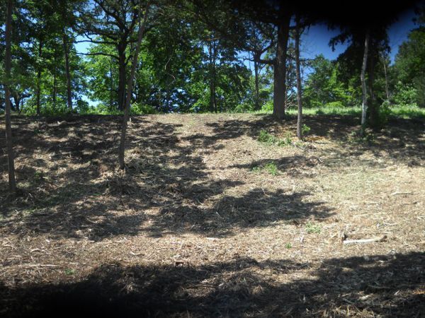 There is a lot of dirt in the middle of the forest.