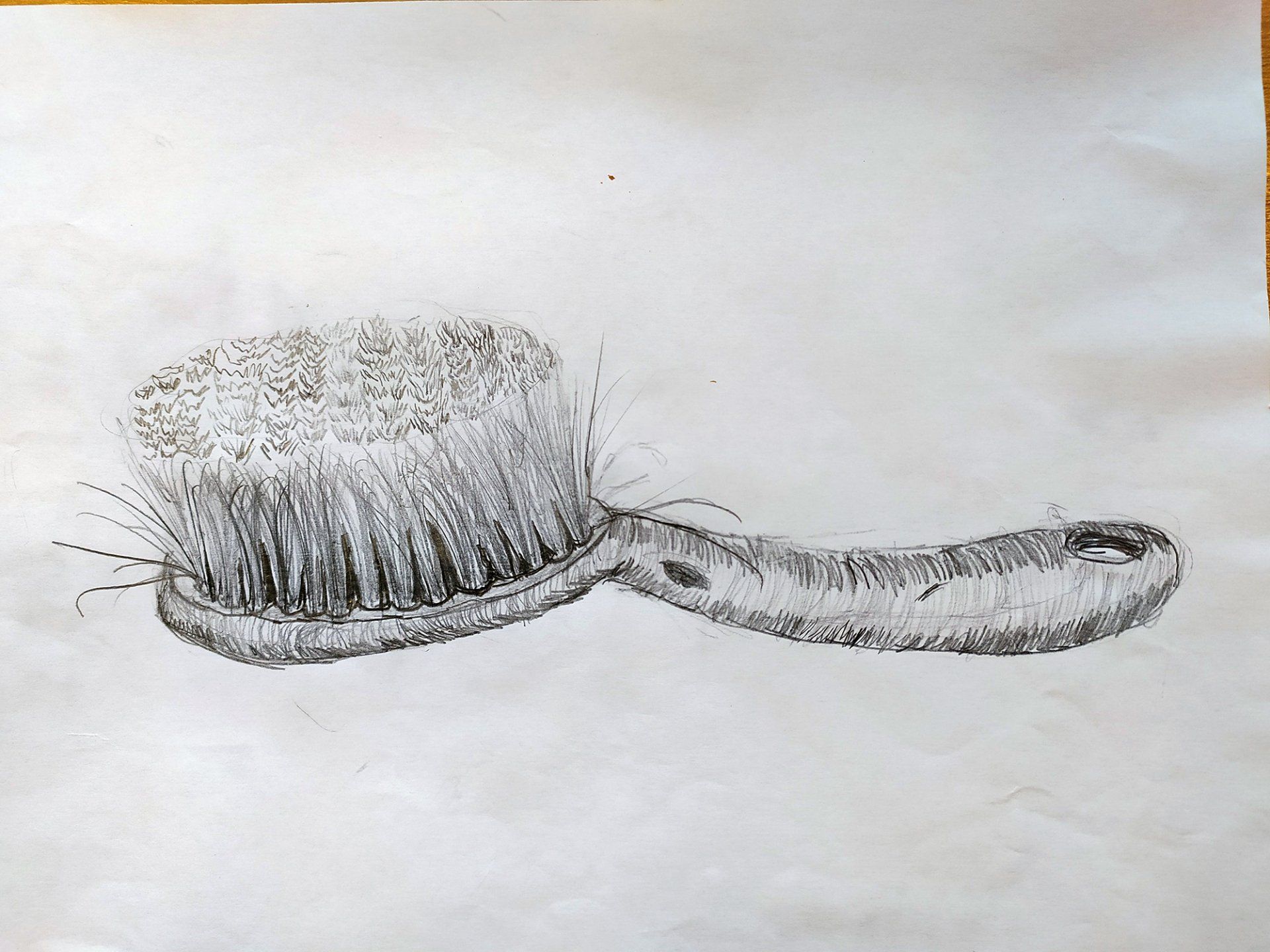 Old Brush in Pencil by Hayden Kelly