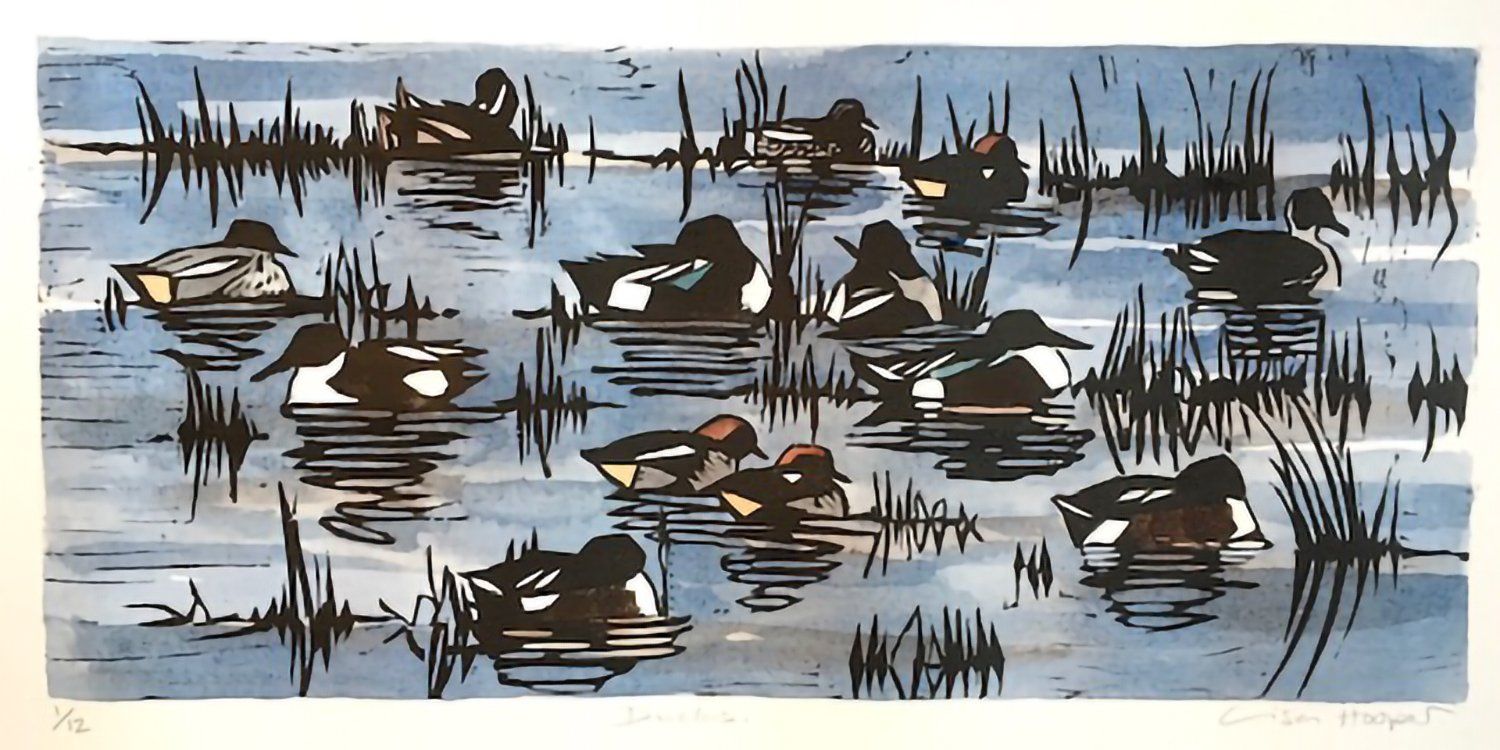 Ducks