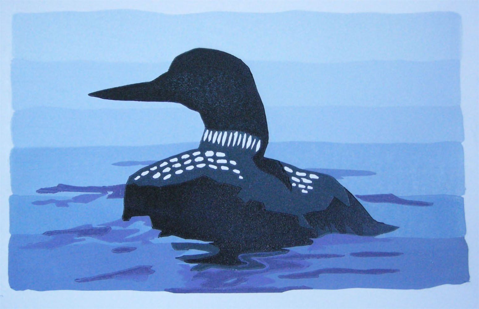 Great Northern Diver, Yell