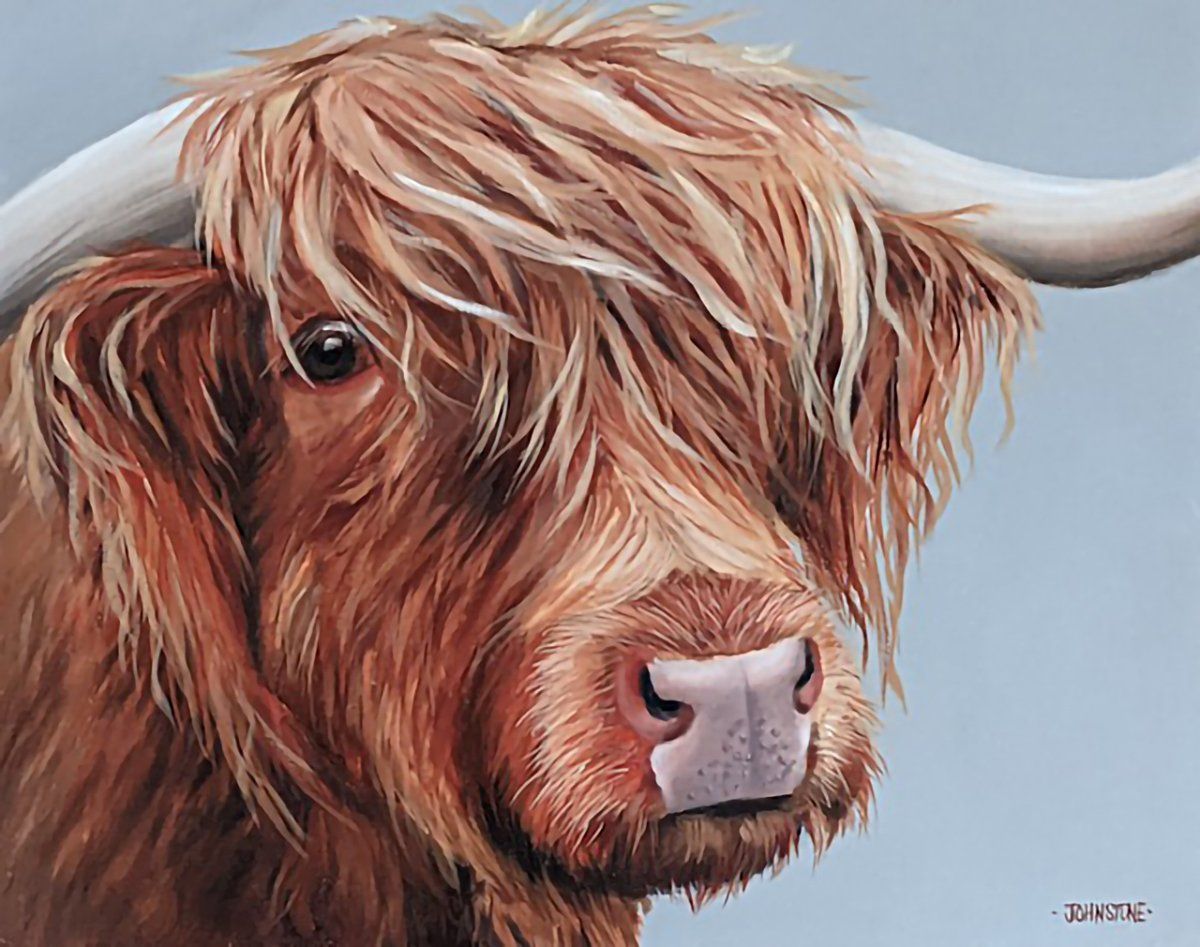 Peek a Moo, Lynne Johnstone