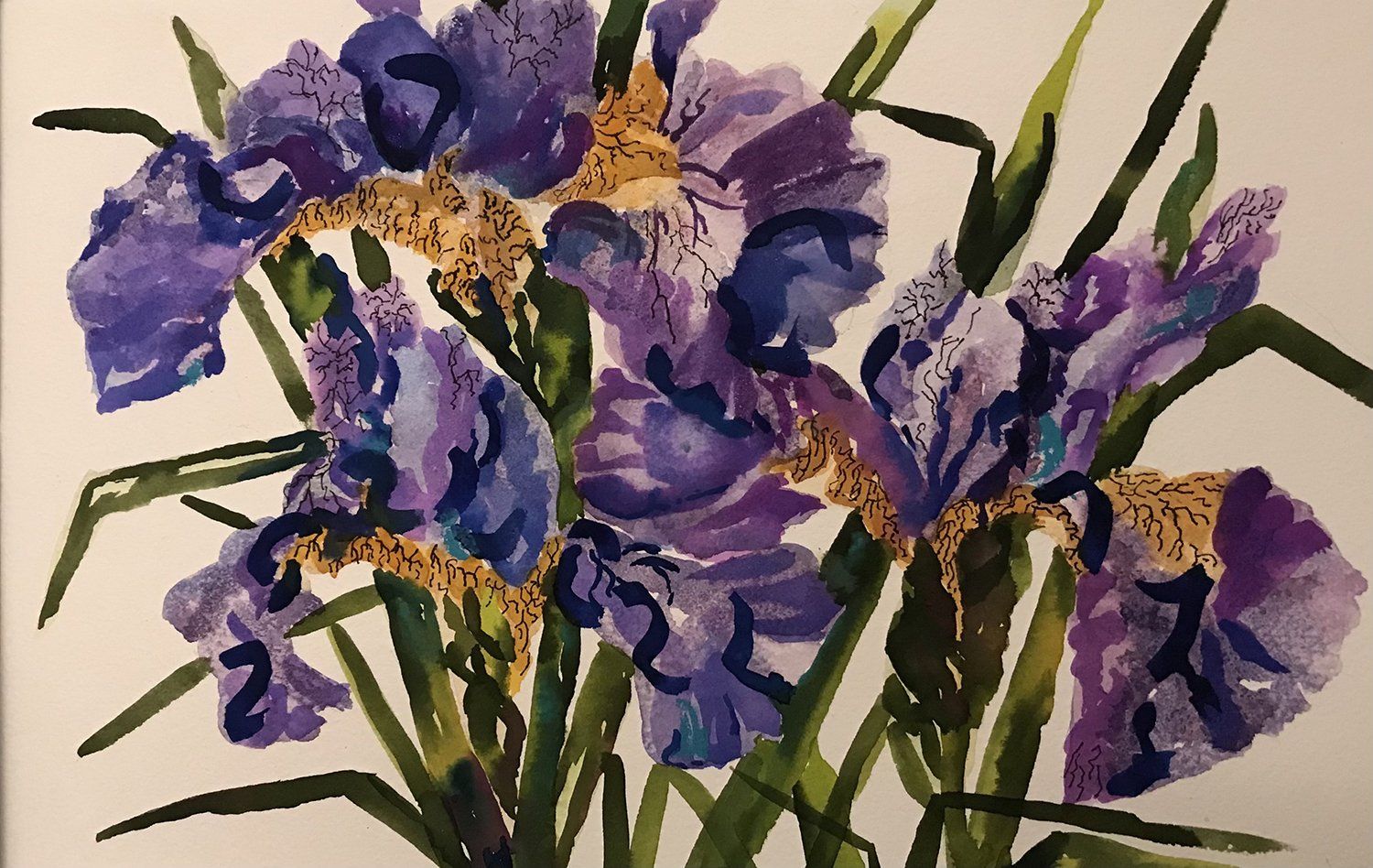 Iris, Margaret A Imrie