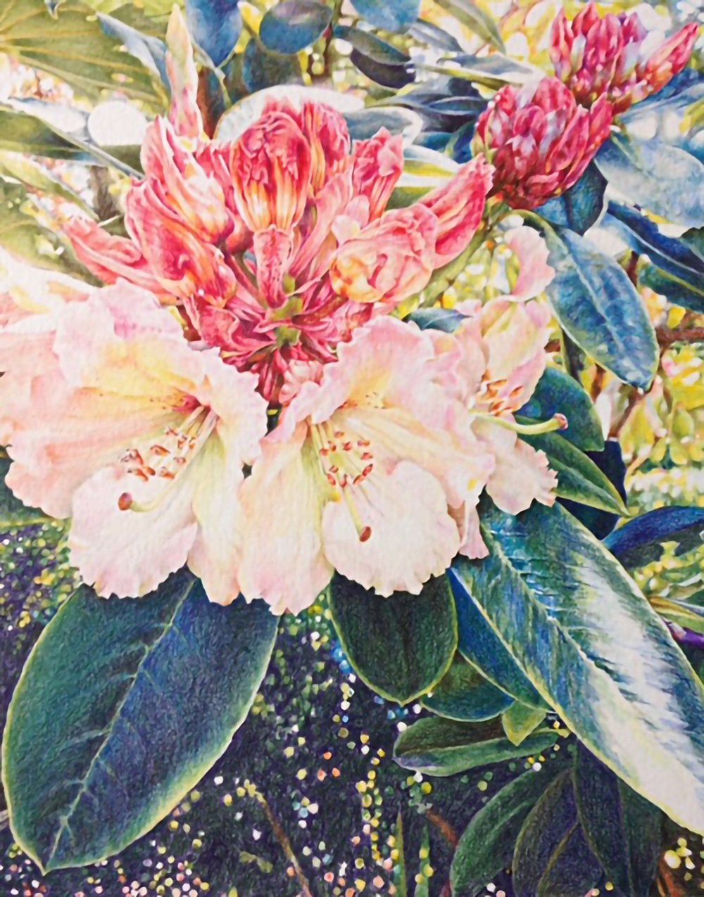 Jean’s Garden, Yvonne Kane
