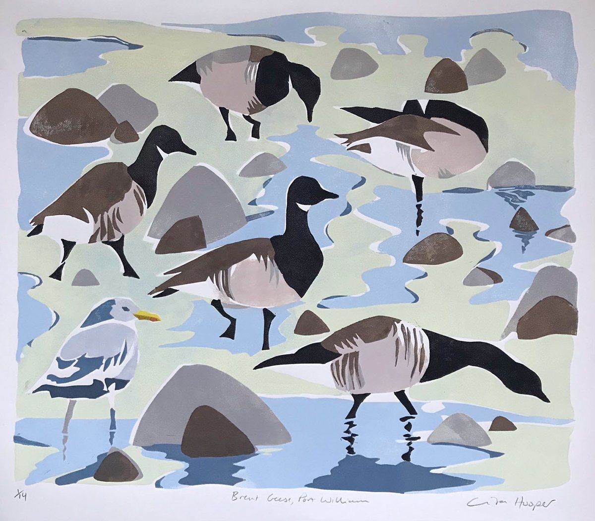 Brent Geese, Port William