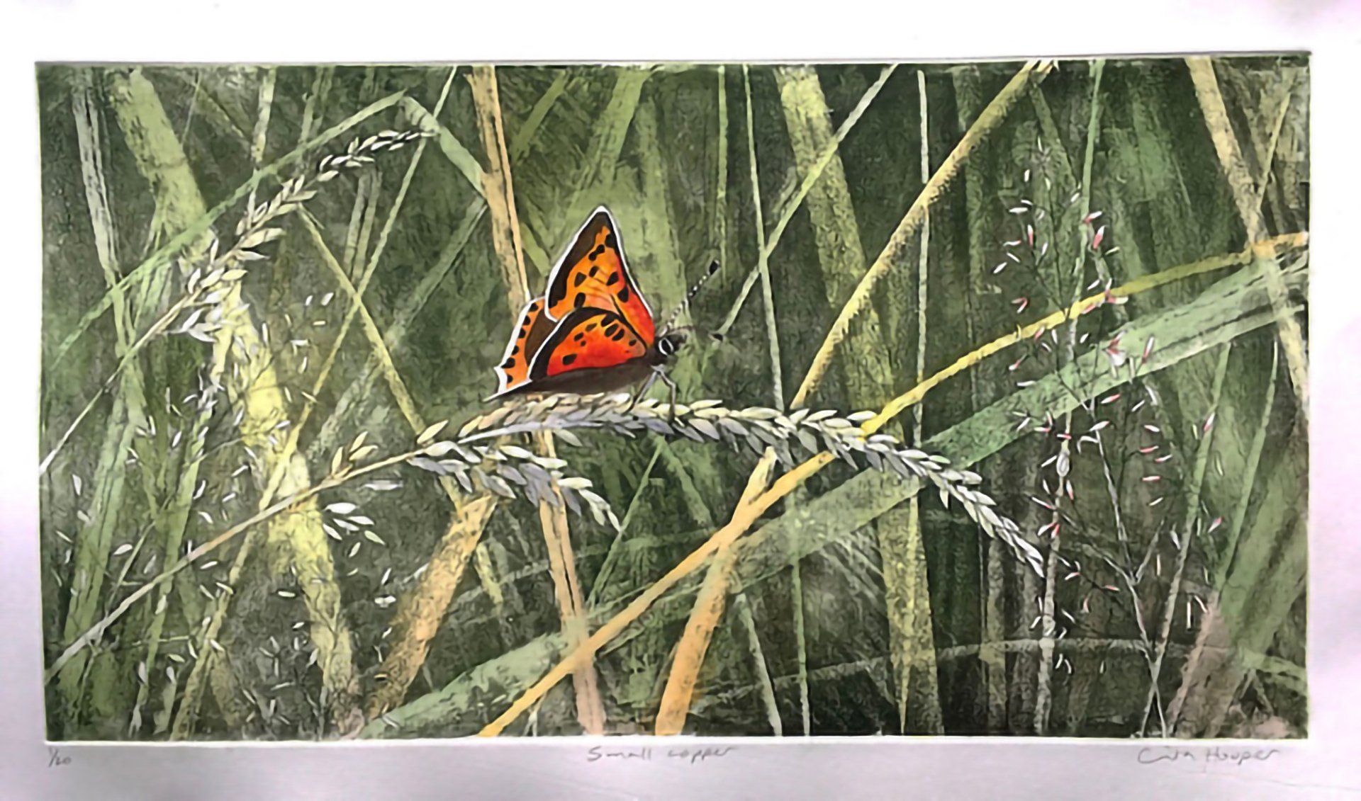 Small Copper