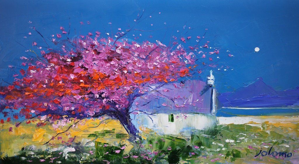 Spring Blossoms, Isle of Mull