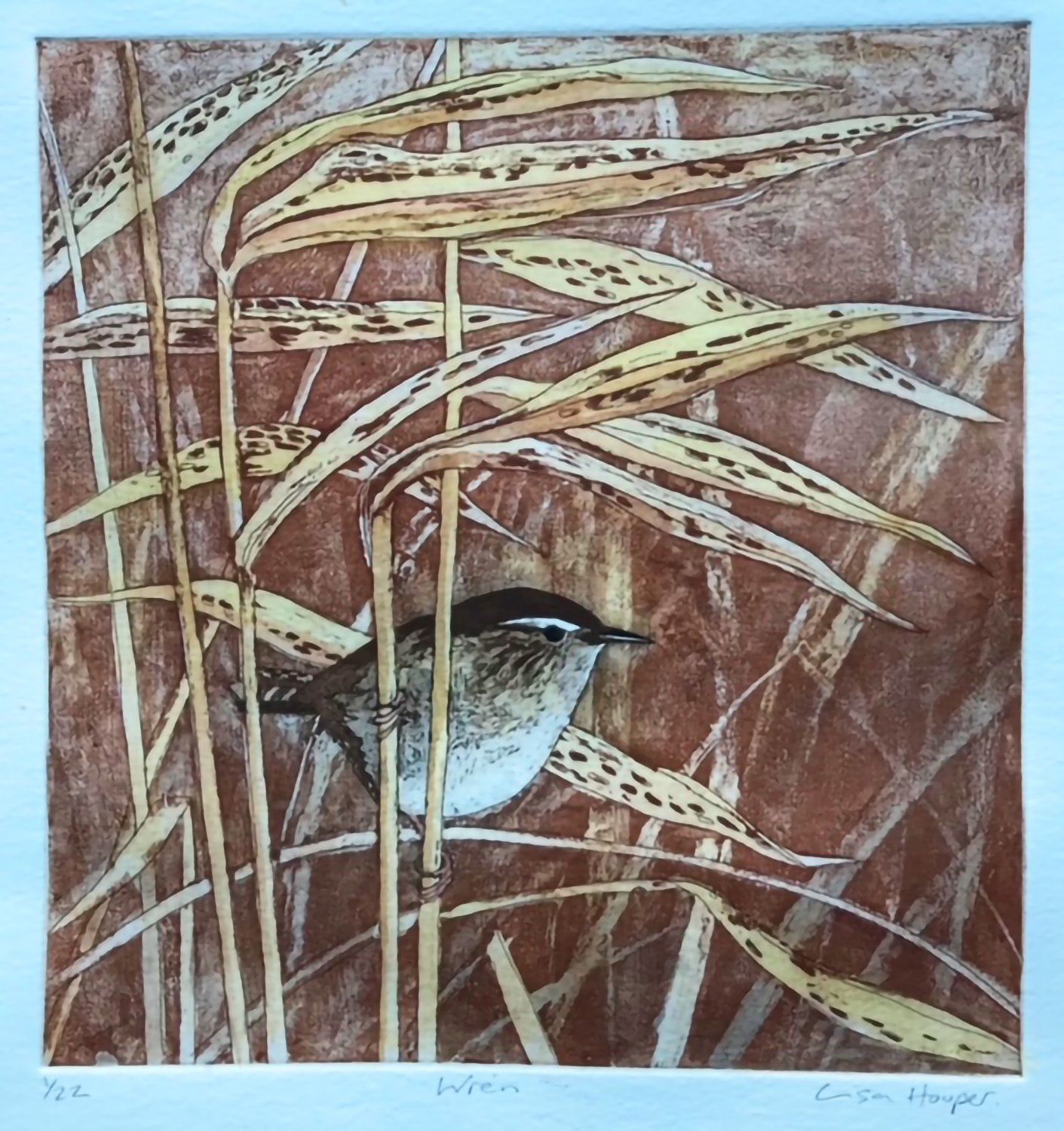 Wren