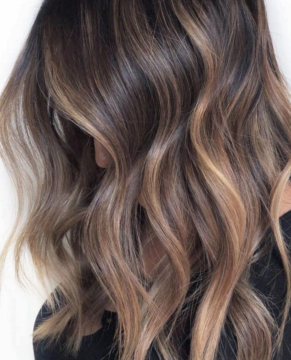 Balayage Highlights Chicago, IL Saraya Salon Hair Coloring