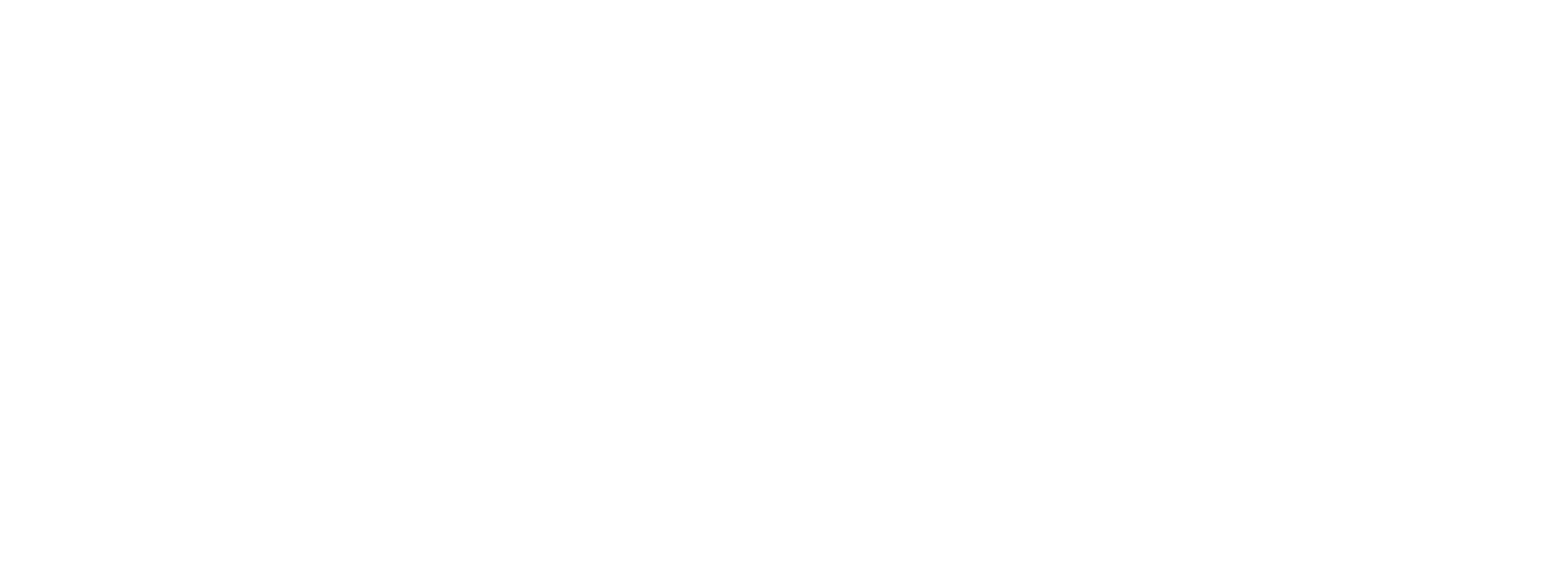 Baldini Property management Logo