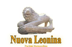 logo onoranze funebri nuova leonina