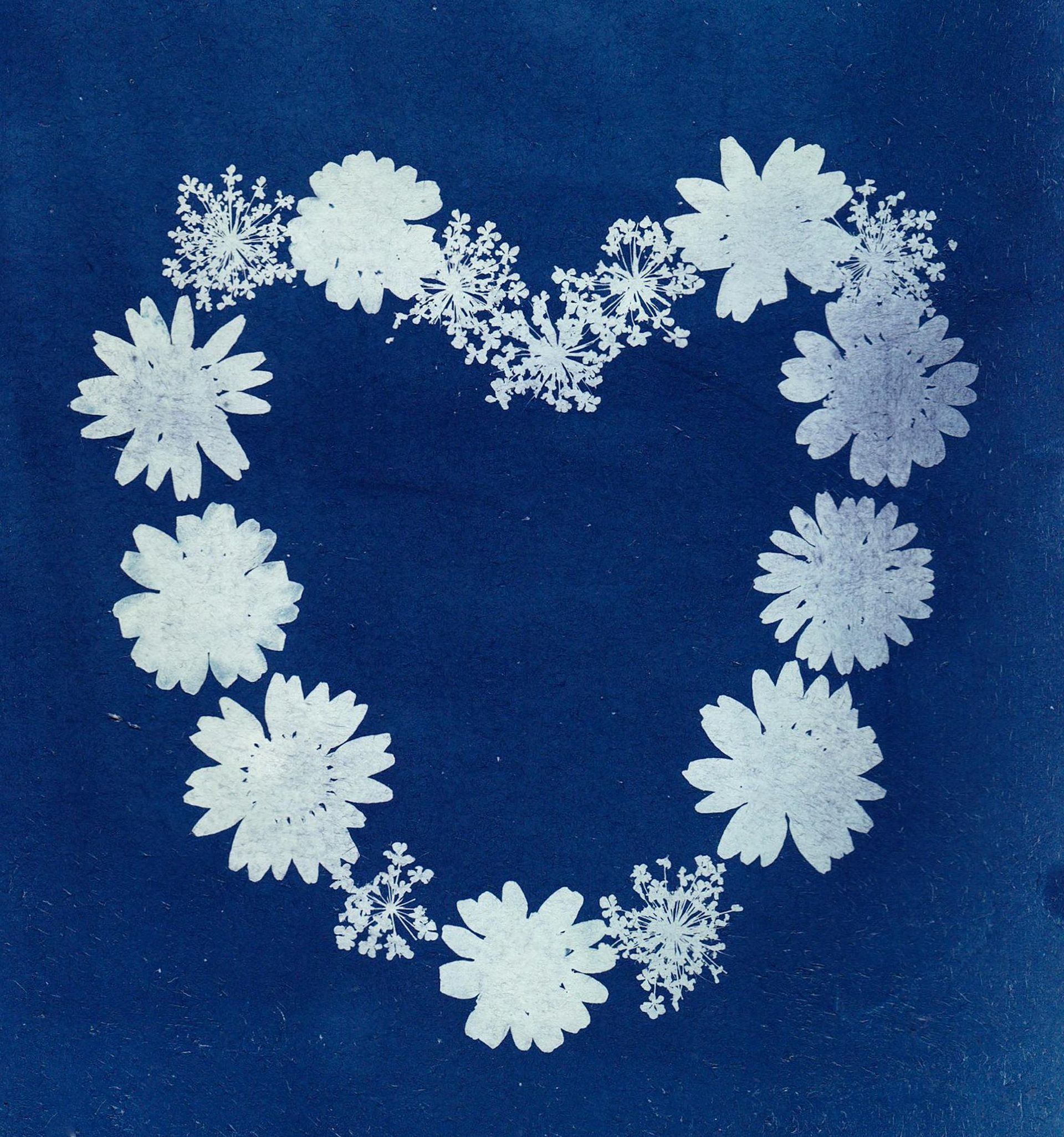 Blue and white cyanotype of a heart-shaped floral arrangement.