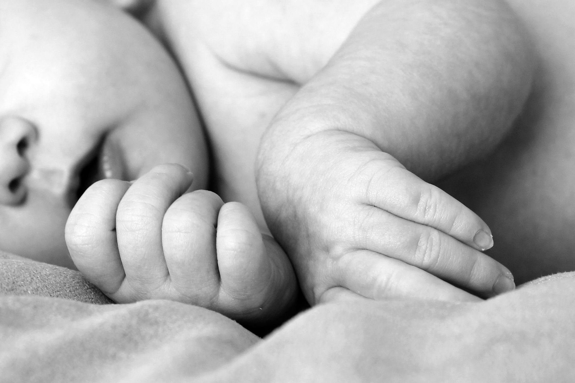 Adoption Myths