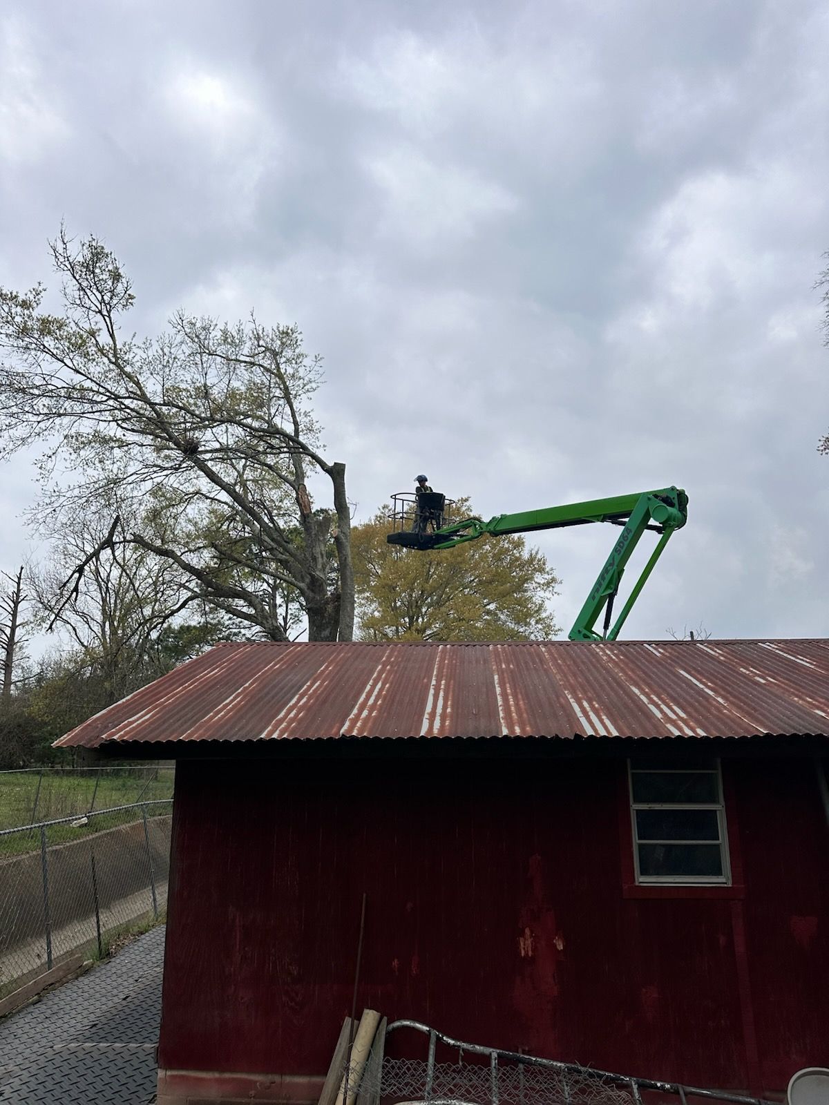 Green crane behind a red shed, trimming a tree under a cloudy sky.