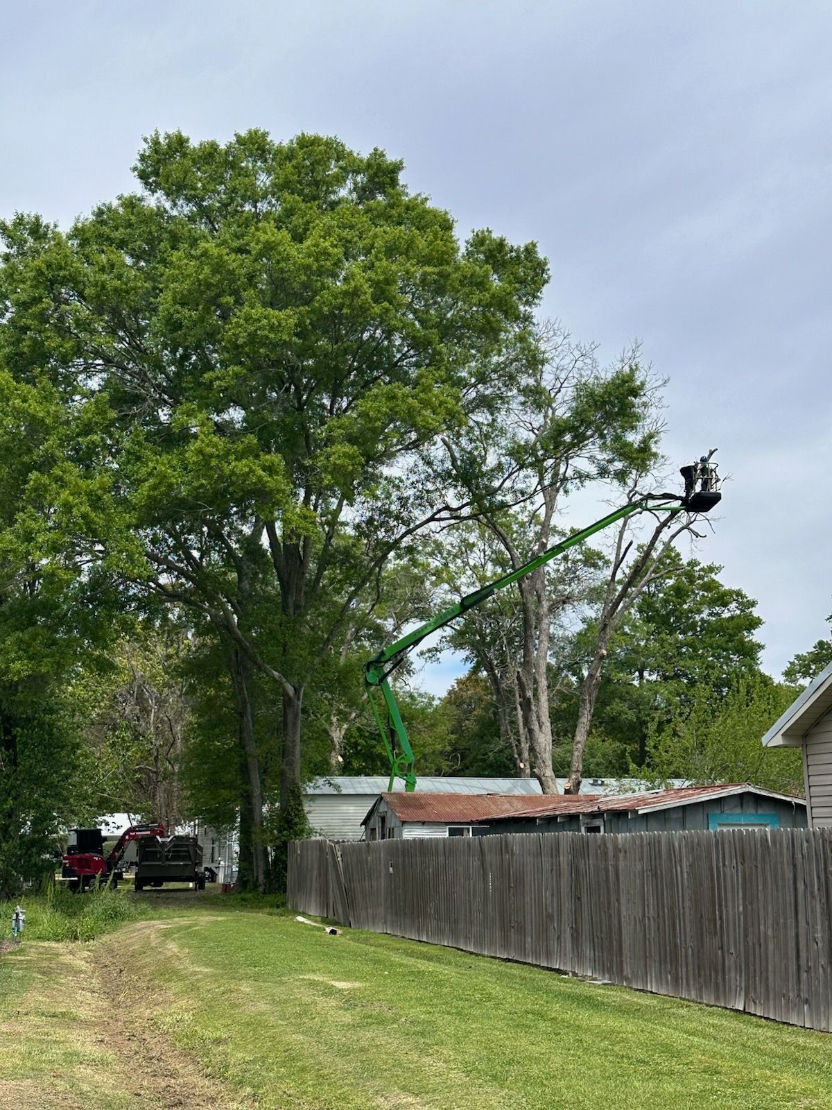 Tree-lined residential street with a wooden fence, utility pole, and parked truck under a cloudy sky