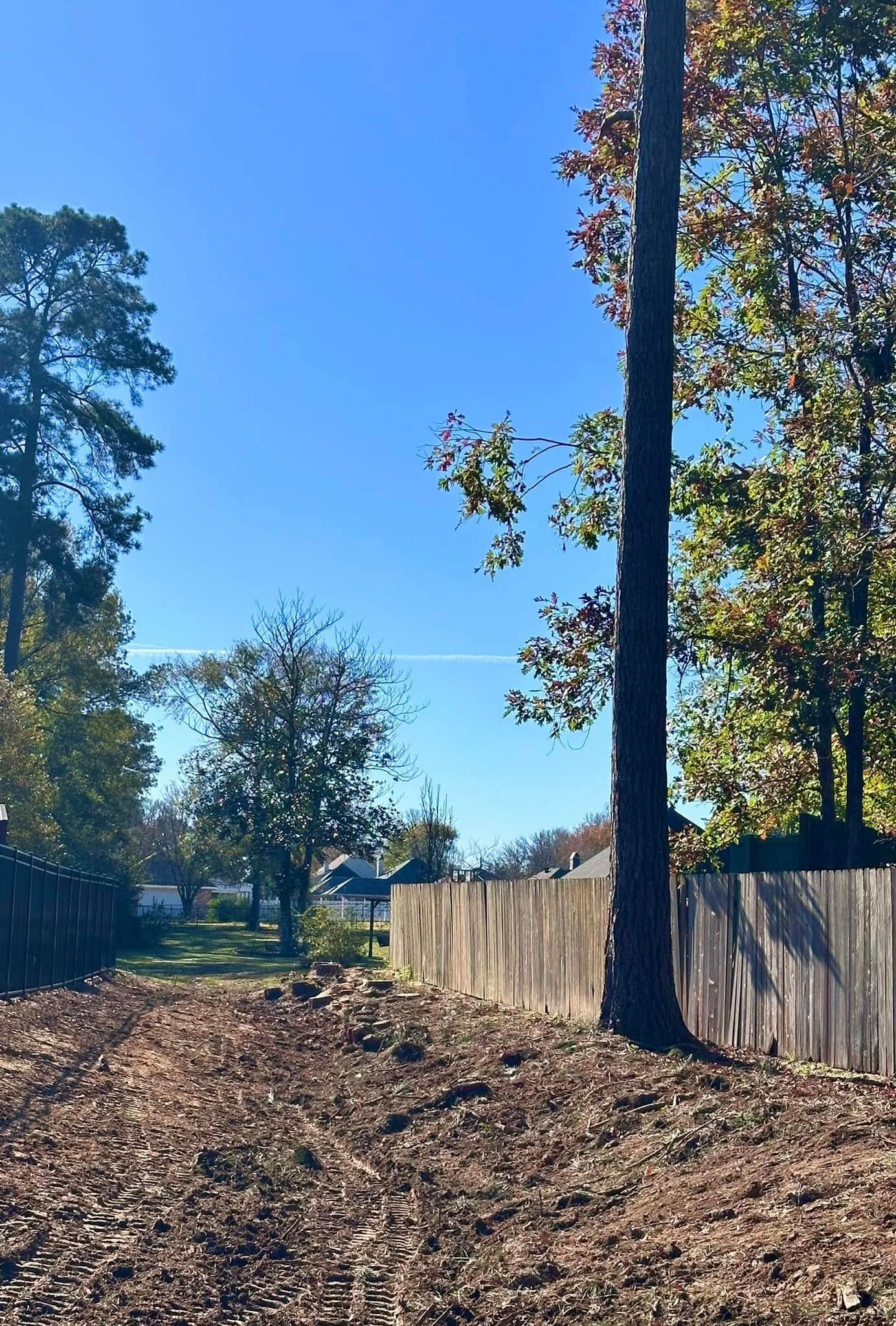 Tree-lined dirt path beside a wooden fence under a clear blue sky in bright sunlight