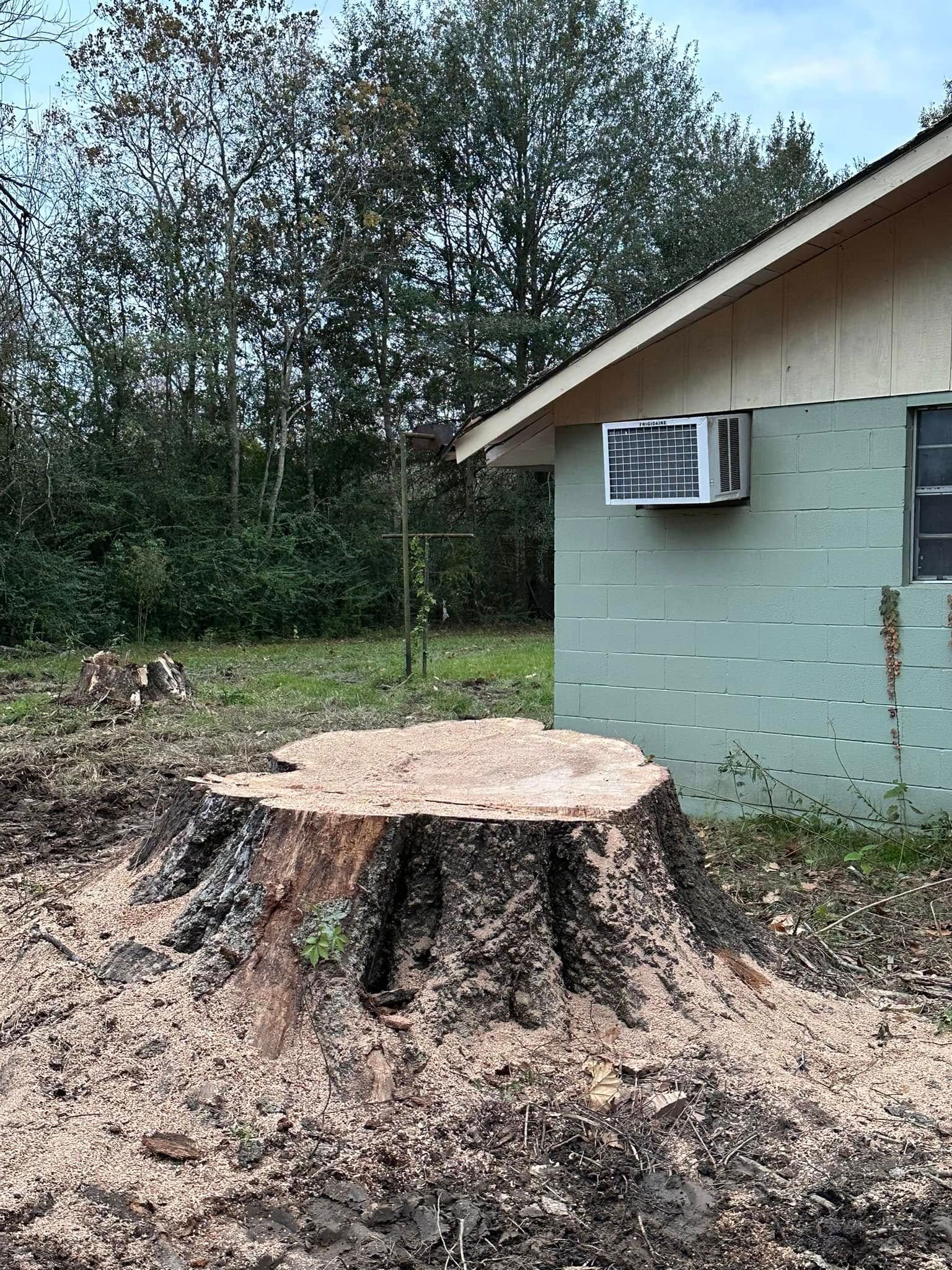 Large tree stump in a yard beside a light green house with an air conditioner, trees in the background