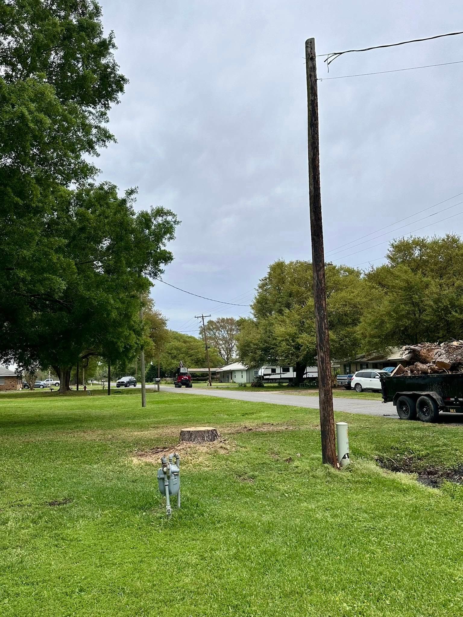 Grassy park with trees, a utility pole, parked trucks, and an overcast sky